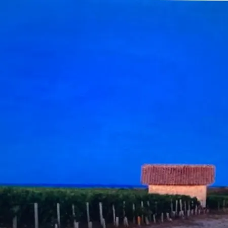 La Maison De Leandre - Medoc * Saint-Seurin-de-Cadourne